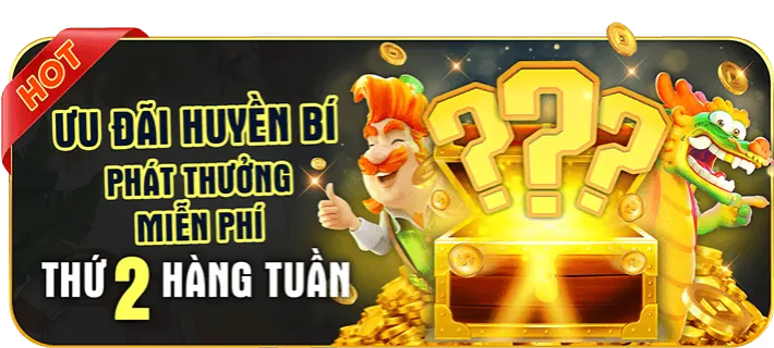 Chương trình VIP HV88